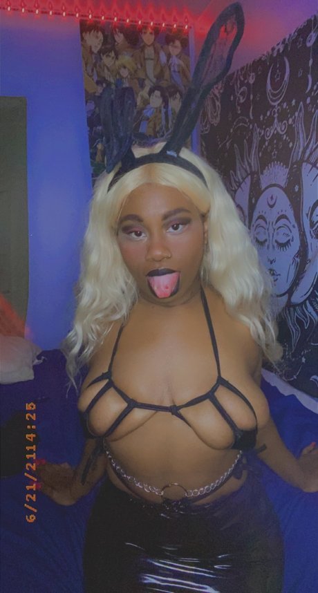 Dalla_ star art gallery