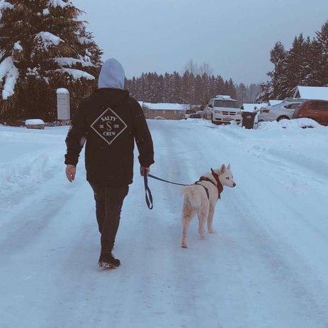 Craig Rollins pretty star archive