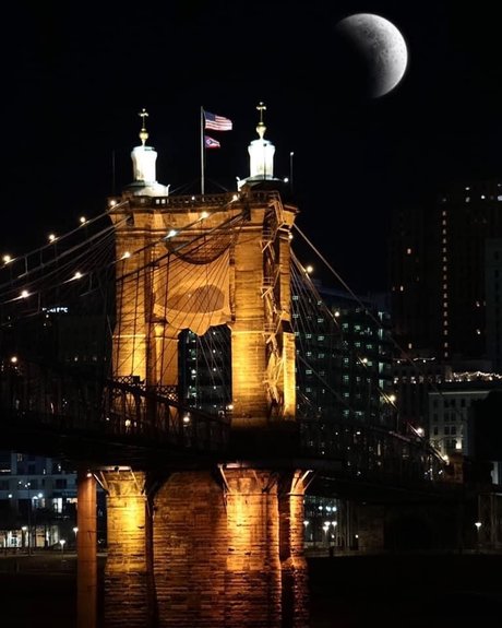 Natibred Viking star perfect pic