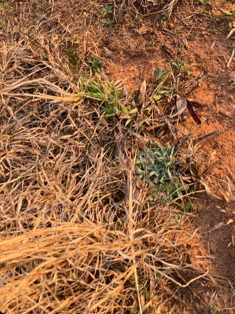 u223611483 model beautiful archive