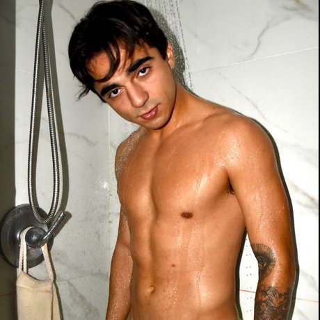 Mr Dickinson star high quality galleries