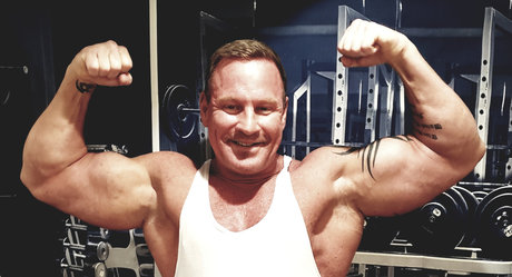 FitDrake model free archive