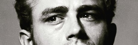 Navw pornstar perfect archive