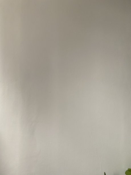 Southern Gentleman star perfect archive