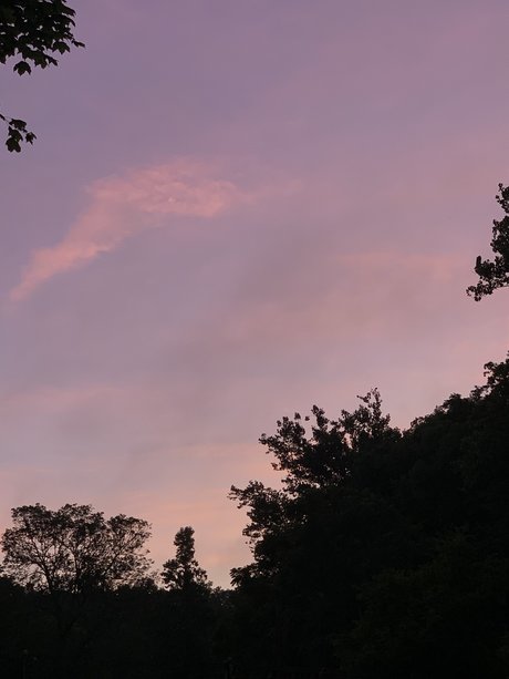 C S_ pornstar hd photos