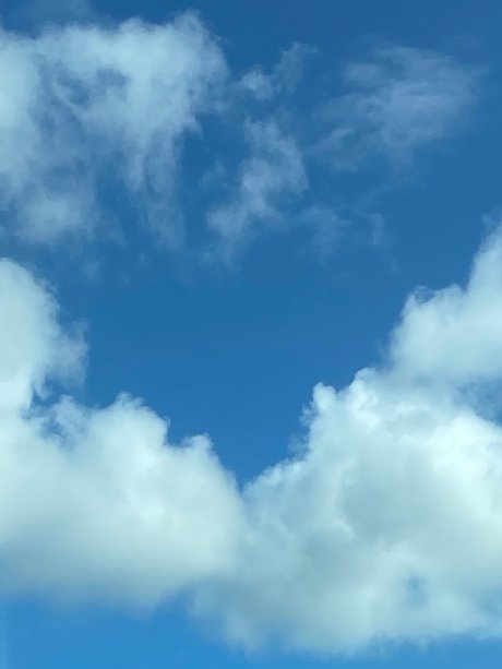 Cassandra Tapia pornographic actress images