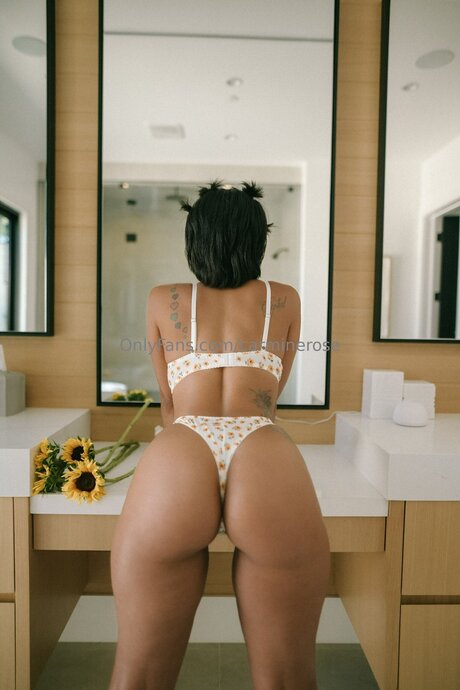 CarmineRose nice model image