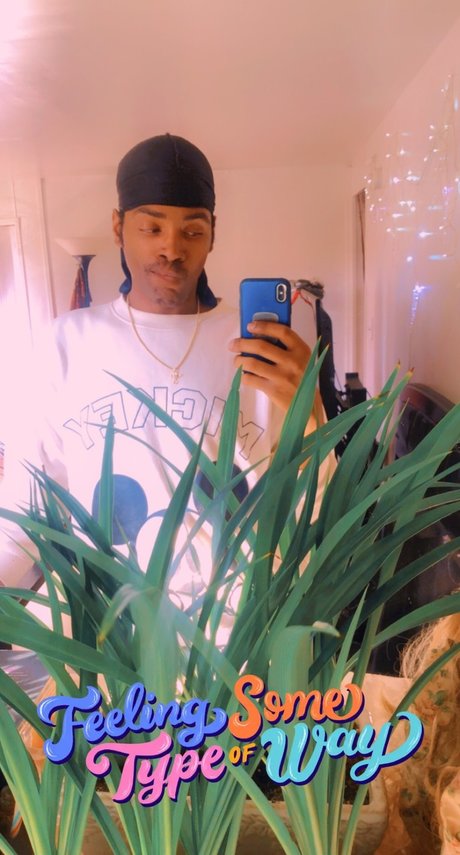 Tracii pornstar nice picture