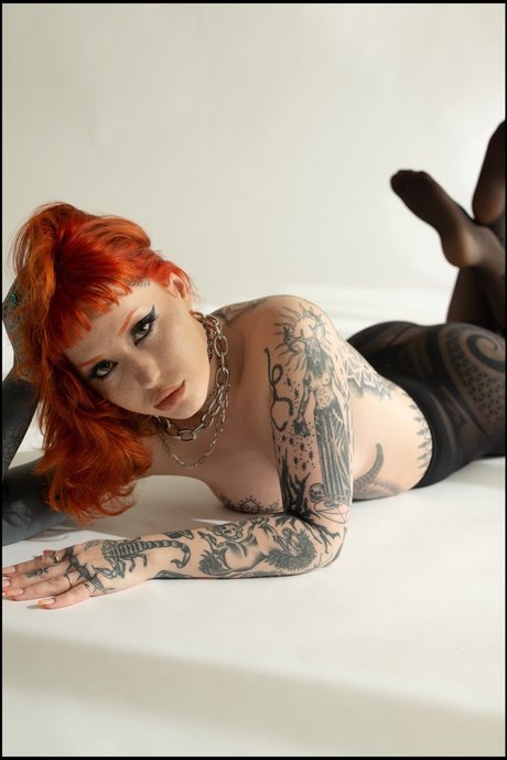 all hayl pornstar high quality photos