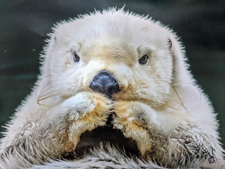 Bombtastic erotic model pic