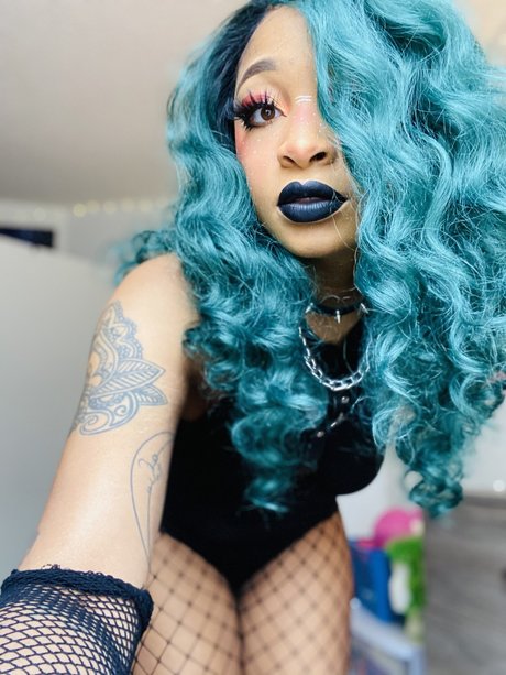 Araeda model top pics