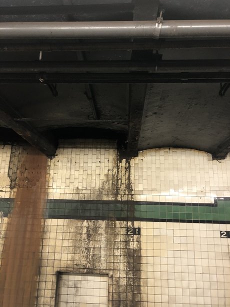 Jodie Fister pretty star photos