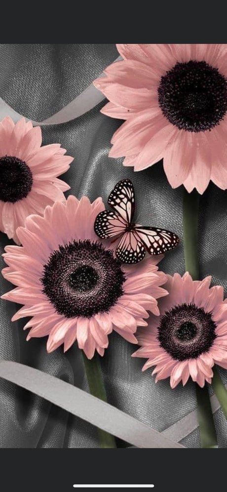 Elegant Scarlett high quality pornstar photo