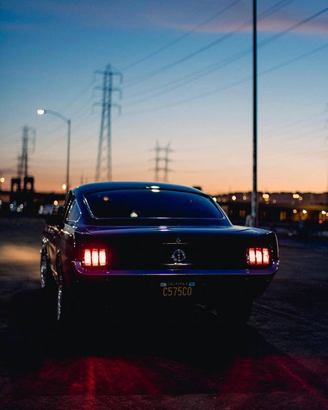 Nico Labeau high quality pornstar photos