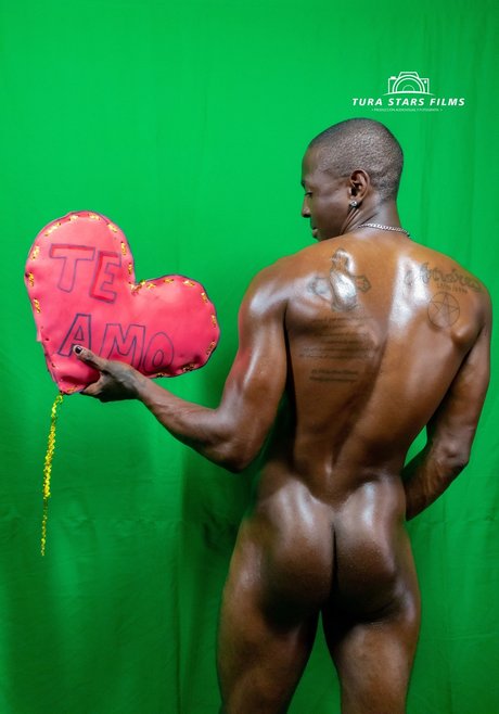 Niche Flow Element sexy pornstar image