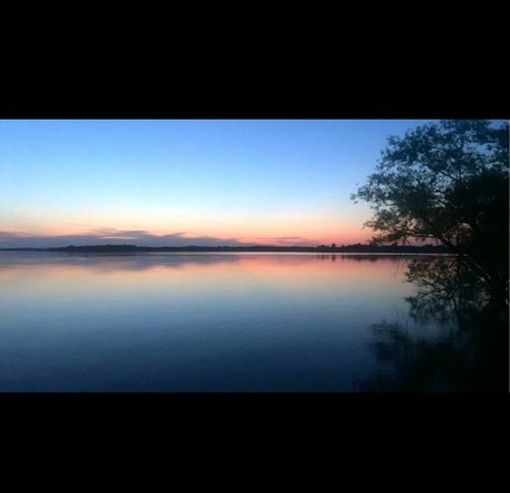 Bleu Jane model top images