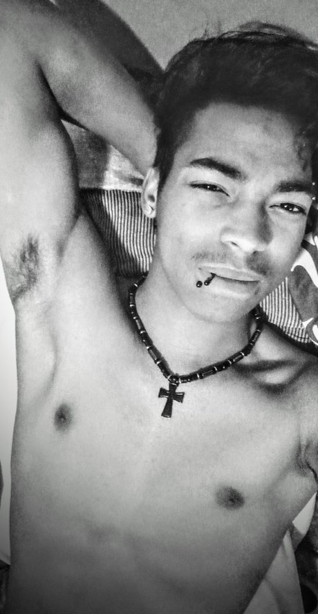 Rob Mitchell star pornographic photos