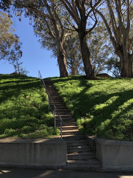 Scratch the Pup perfect actress pictures