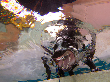 cuminside pretty actress images