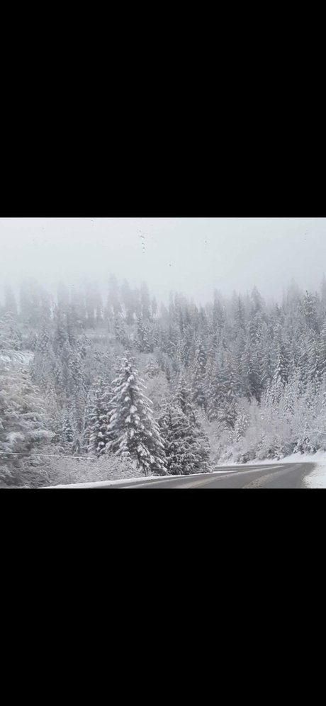 Casey lee Pappan pretty model gallery