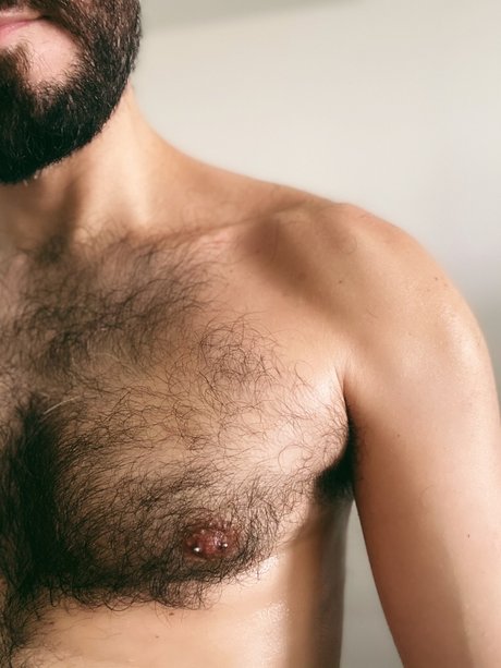 barbudopeludosp art star images