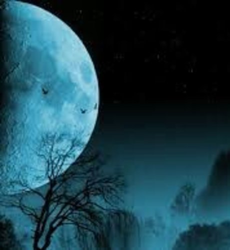 NightGod772 pornstar perfect pics