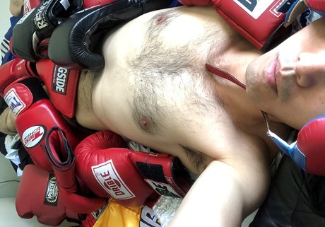 Joeboxerbr pornstar hot pics