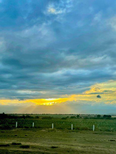 Niza Salvador star best pics