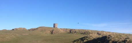 NoFaceNoCase model adult img