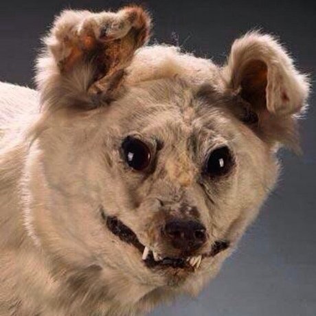 esc ort model pornographic picture