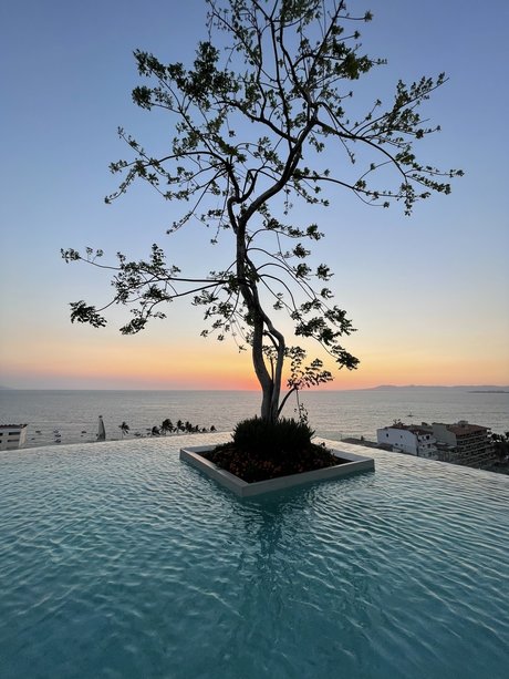 Naughty Jewish Boy best actress picture