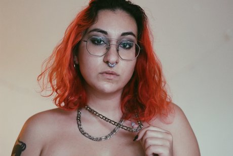 NISEMONO star nice archive