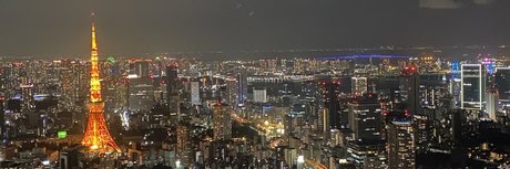 nintendopandax exclusive star galleries