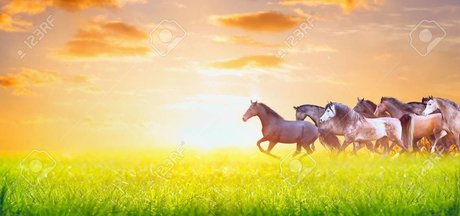 BabesWhoEat adult actress img