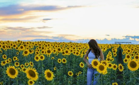 Lauren Boebert nice model gallery