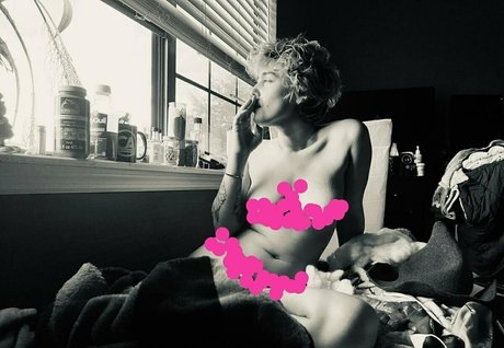 spivvens nice star gallery