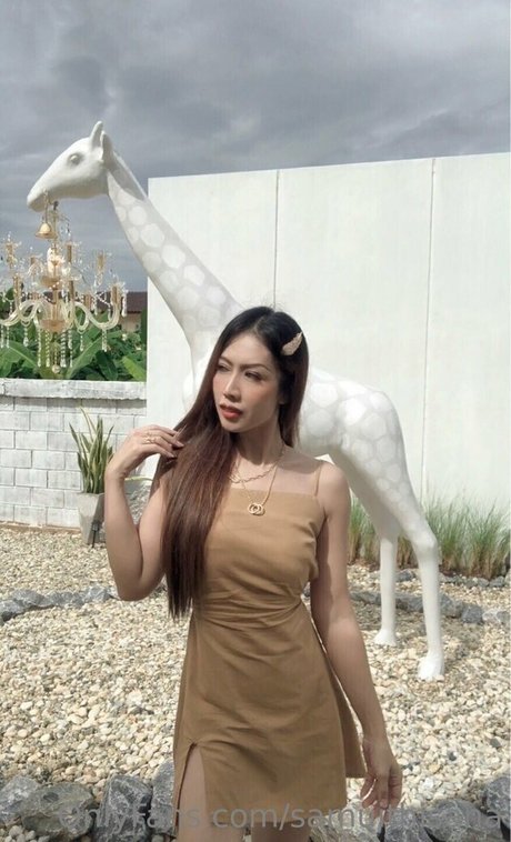 samuithisana nice star picture