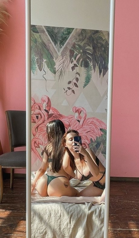 xmednisx best model img