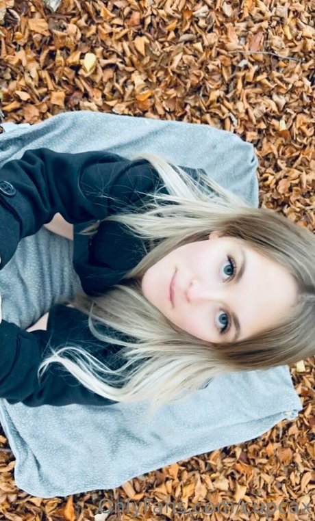 cupcaxfree art star picture