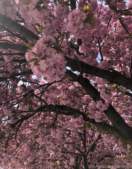 femdomyou star sex pic