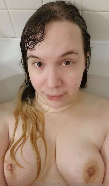 nekoarc model picture