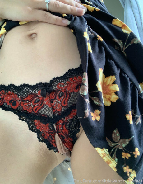 littlewaistinyourface pornstar art image