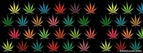 bert the IMPALER pornstar nice pictures