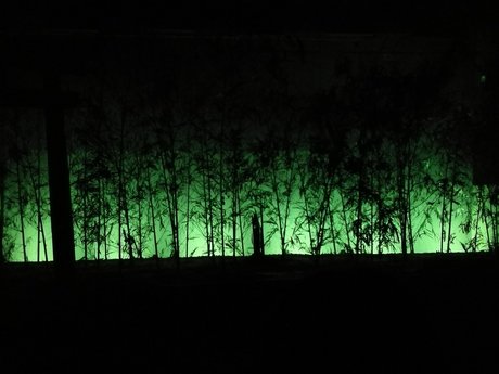 Asian dork high quality actress photo