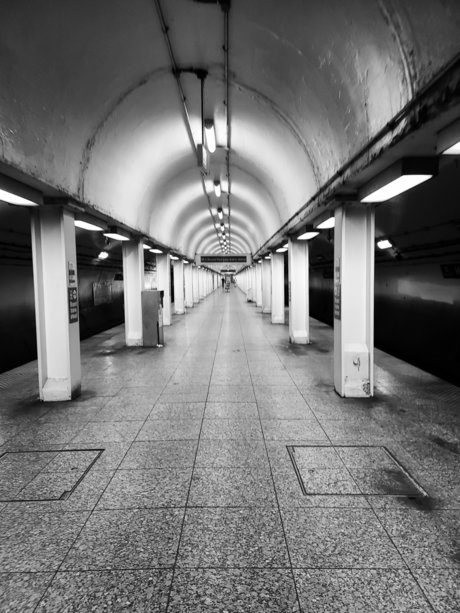 Armand William hot model photos