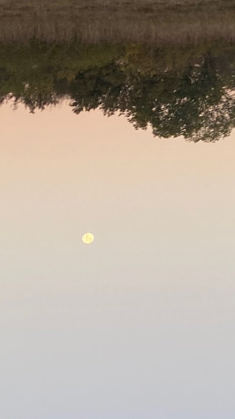 Giani perfect actress pic