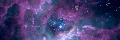 Charlie Nolan pornstar art photo