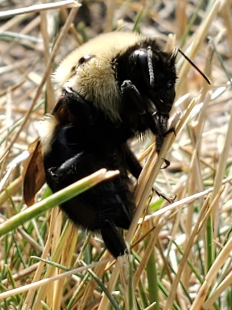 Afluffybunny99 model beautiful pictures