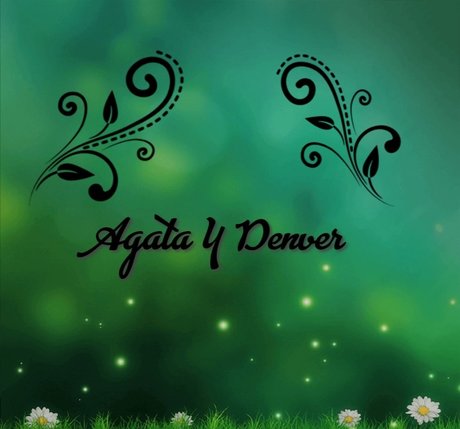 AGATAYDENVER_ high quality star images