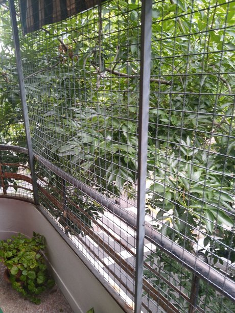 alejandro b jar pornstar erotic gallery